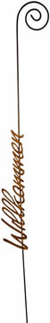 img/items/720/1660-1.jpg